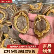 �S�����l��ζ��؛21-22�^��߅�ϷǼ�Ʒ�U�~���ζ������ڸ�ܛŴ