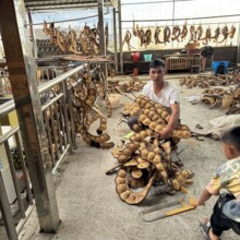 ��Ϙ}�ٶ��v��ƽ�����v���l