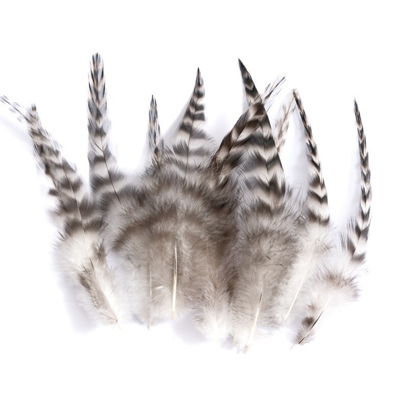 Factory Direct Sales of Chicken Feathers, Colorful Feathers, Red-Tipped Feathers, Chicken Feather Accessories, Craft Decoration Feather Materials, DIY