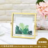 Plant lamp, sample, photo frame, decorations, jewelry, materials set, handmade