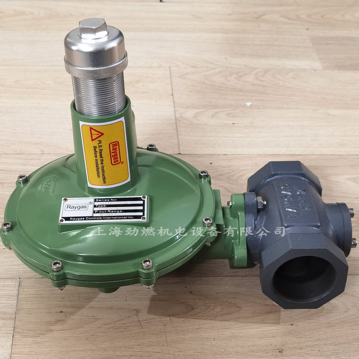 12D20.R47AP.42.17S3法国Raygas瑞盖斯减压阀 调节阀 稳压阀