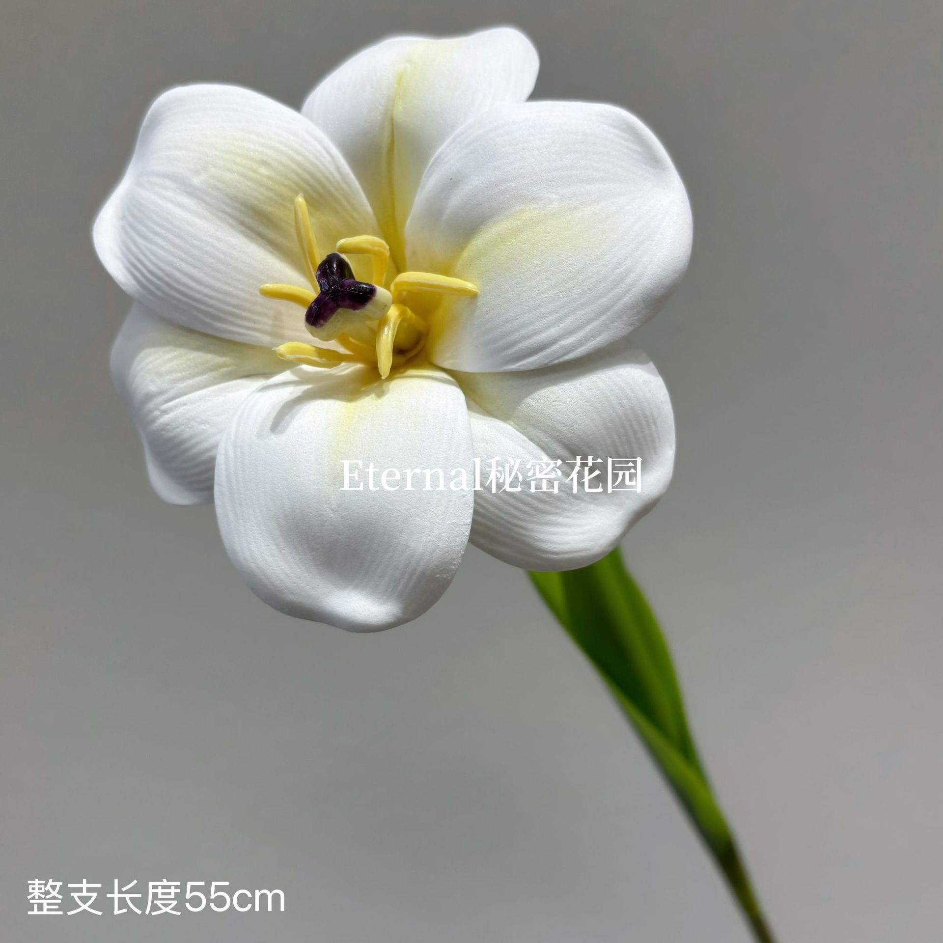 EVA 플립 튤립