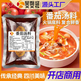 星馨盛 DS091番茄汤膏 商用复合调味料米线面餐饮开店工厂批发