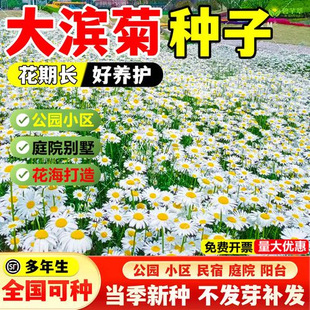 ����ͥԺ�N�Ļ���I�շN�Ӵ�׾ջ��N���Ӷ������ͺ��ļ��׻��