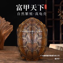 �S��ֱ�N��Ȼ������������������س�u�Թ���Ǭ¡�~�X���