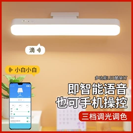 阅读台灯;野营/露营灯;小夜灯
