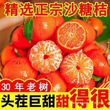 �ُV�����ӳ����R�d�F�lɳ�ǽ۬Fժɰ�����ӟo����Ƥ�������rˮ��