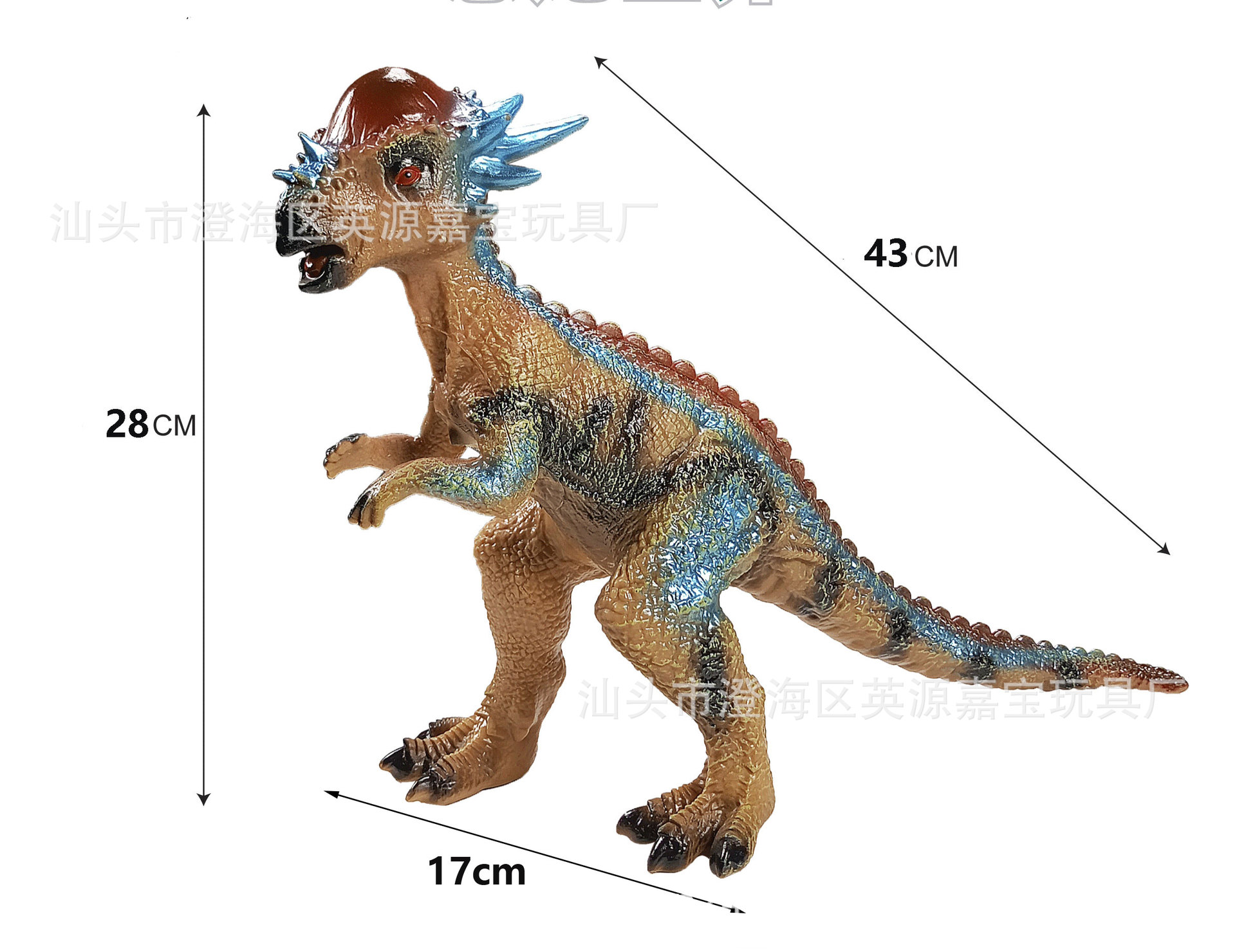 【40 시리즈】43cm 파키케팔로사우루스