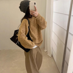 2025新款羊毛混纺宽松显瘦百搭圆领针织衫女上衣韩系圆领花纱毛衣