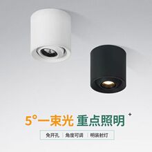 ���{���b������ѣ��cob���þƵ�ȫ���V��Ʒ�|led���_�����bͲ��