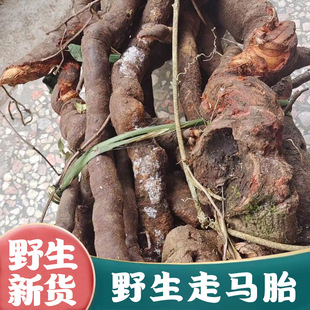 ��Ʒ�V��Ұ�����R̥��ș��500g���R̥��Ƭ���R�vѪ����lș���R�L