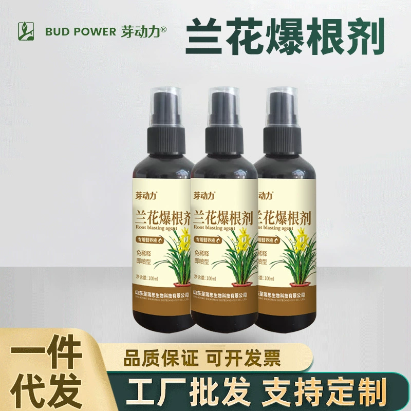 Завод прямой корень орхидеи Пескоструйный агент цветок корень взрывая бутон специальный питательный раствор цветок зеленое растение общее цветочное удобрение