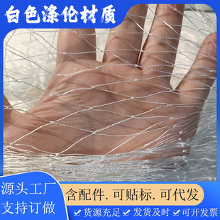 ���ƌ�������W ��؈���x�W����W������W�̨�������ݾW��ˤ�W