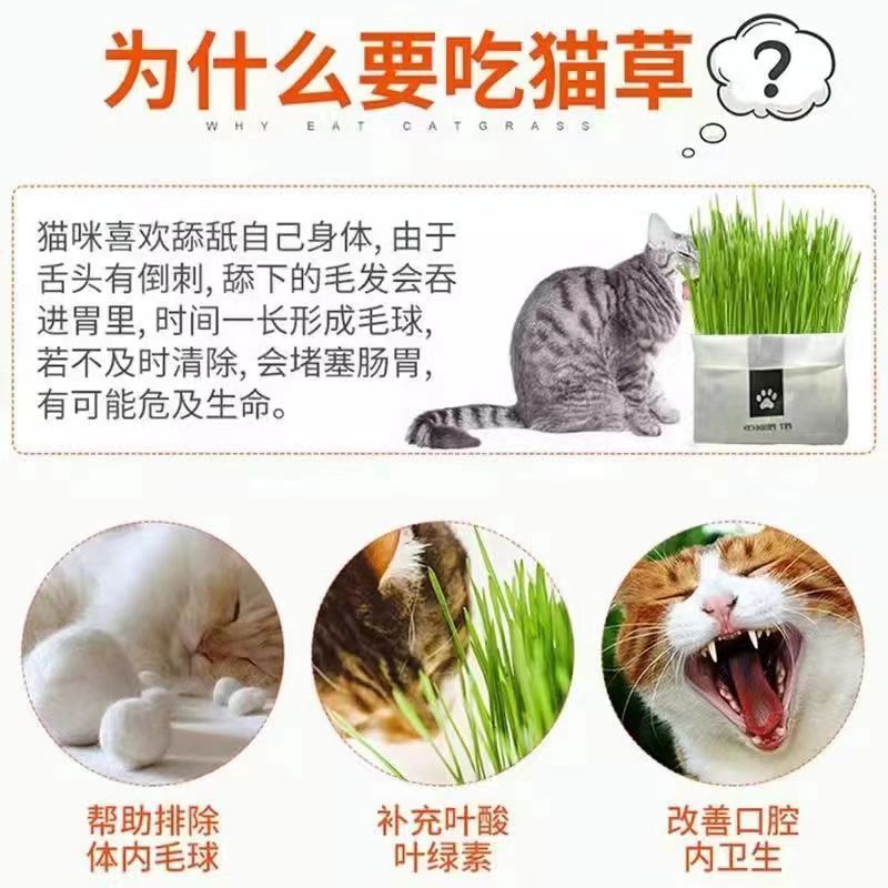 c11a2bbb-fbe1-4d08-88fd-709fbf59f72d.jpe