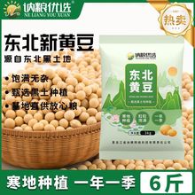 6斤黄豆黑龙江非转基因高蛋白生豆芽打豆浆豆批发厂家直销