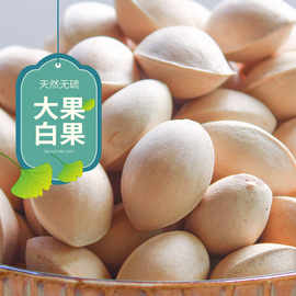 白果中药材 新鲜大颗带壳白果 散装银杏果白果干泰兴白果新鲜批发