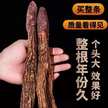 �iꖂ��������l���ɹŰ����ƴ�Į���i��ݾ��ݲ����a��Į���x�i�