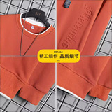 Весенний свитшот, демисезонный лонгслив, дизайнерский значок для отдыха, свободный крой, осенний сезон, короткий рукав