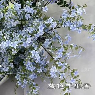 ��֦������ ��c���� ��Y·�� �����b�� �Ҿ��bٻ����滨���l