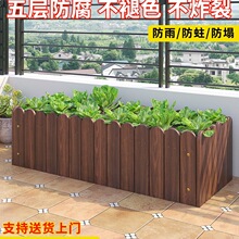 ����ľ�����L���Α��⻨���̨�N����ͥԺ̼����ľ�řڷNֲ�����