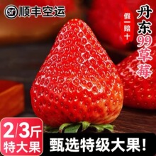 �|�����|��ݮ���rˮ��99�t�ݮţ�̲�ݮ�a��ֱ�l����һ�����l