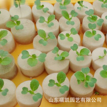 �S��ֱ�N�̸�����ֲ��25̖ˮ�ඨֲ�d�o�������~�� ֲ��ˮ��̶�