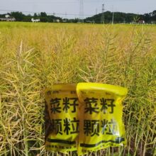 ����C�ϲ�����w����~��ҹ��CҰ�D���Ͳ�Ұ����Ϳݷ��ϑ���