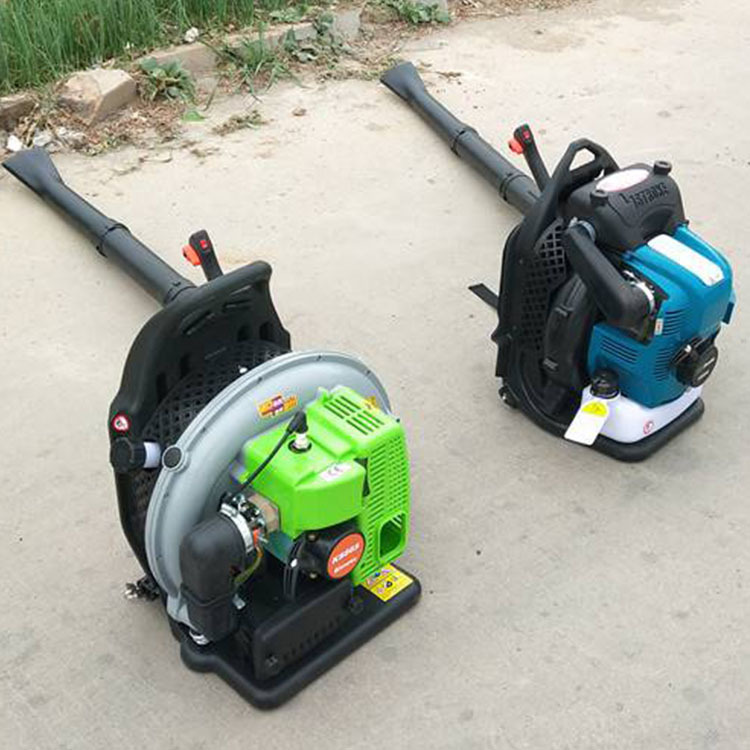 secador de pelo industrial secador de pelo de jardín secador de nieve eléctrico transfronterizo soplador de hojas soplador de litio carga de alta potencia