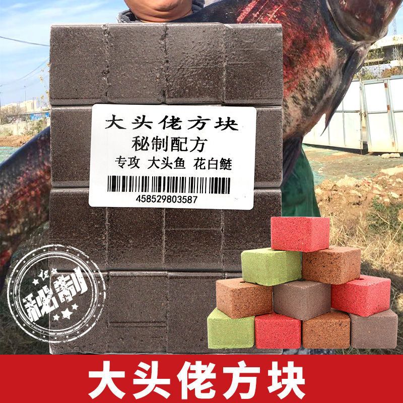 Big Head Floating Fish