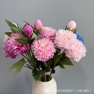 ������ș��������ș��c�b��쾰·����ˇ���͙����[�ŵ���