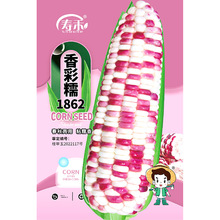 ��Ŵˮ�������׷N�����ȫ��Ƥ����N����ճ����Ŵ�׸߮a���Ϸ���