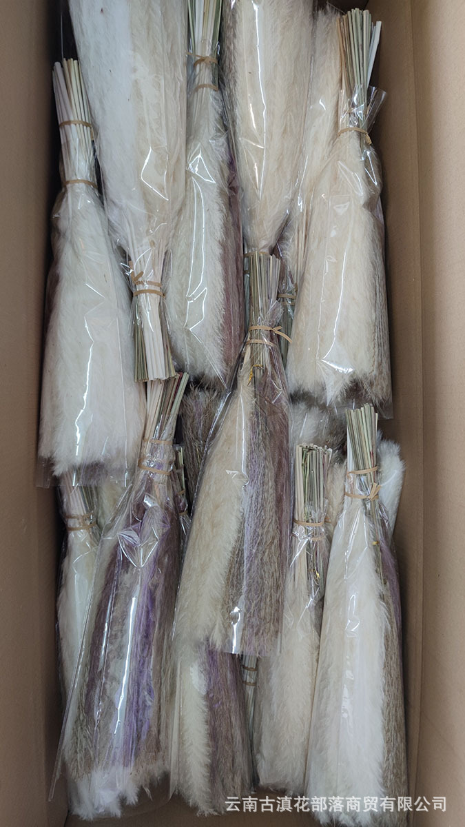 e9a8d47de239ecd696af82920ecc2b