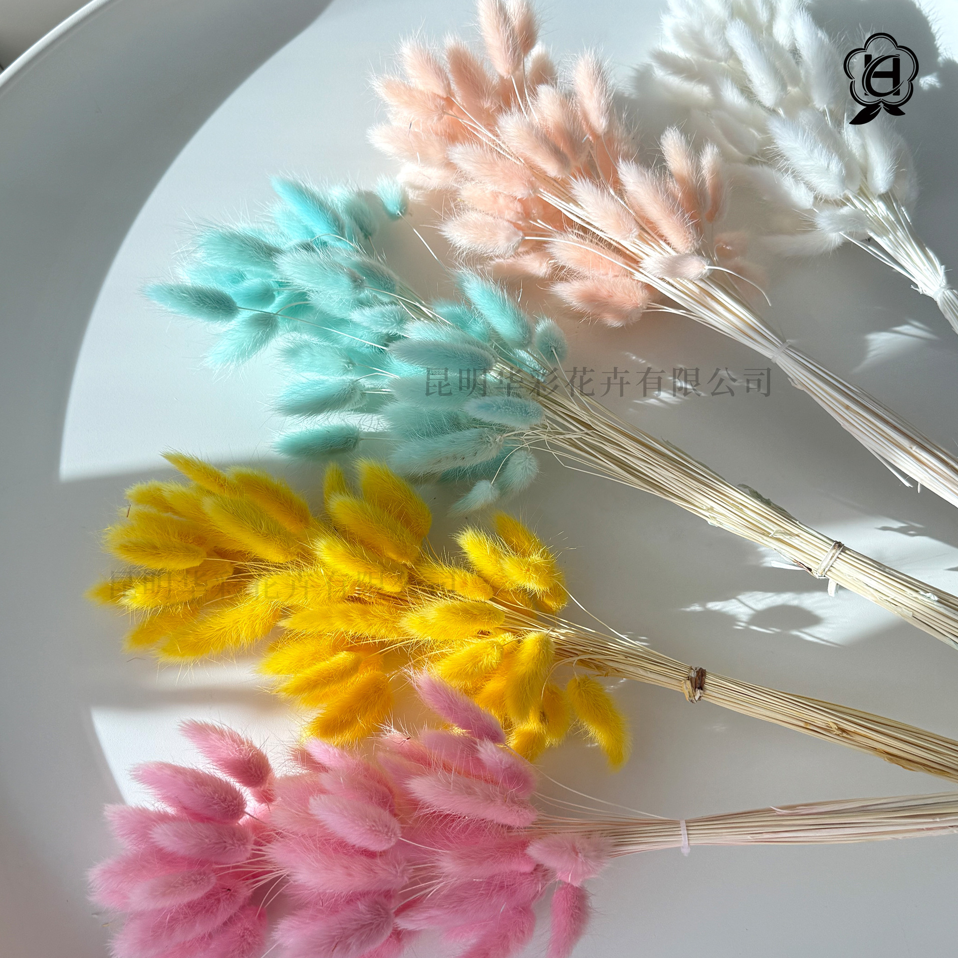 永生花兔尾草保鲜花圣诞情人节礼盒DIY花材花艺