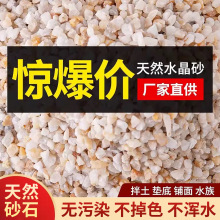 乌龟天然河沙胆石沙石砂水族箱铁胆鱼缸装饰用天然水石头沙水草水