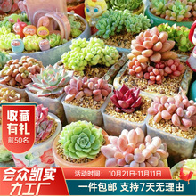 ����ֲ���׃��@�GֲС���Ի��ܸ߶����҃��Ϙ�Ⱥ�����F���w���B��