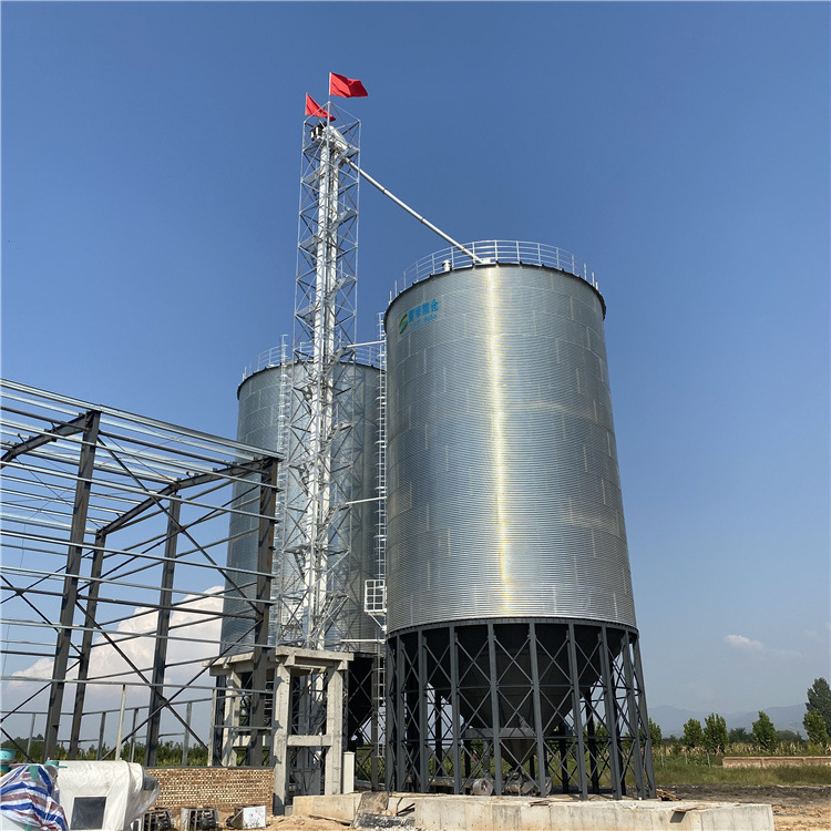 山东德州地区玉米烘干厂用1000吨锥底粮仓干湿两用自动化粮仓