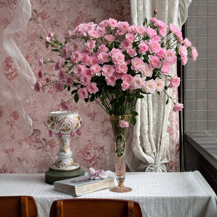 2025��W�t����^õ���������۷�ɫõ��С���μ���ˮ���л�