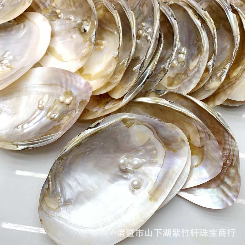珍珠母贝壳 沾珠蚌壳 工艺母贝 珍珠蚌壳 淡水珍珠蚌壳打磨处理-阿里巴巴