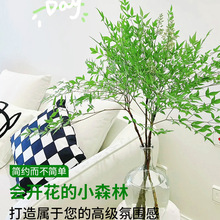 ˮֲ҃Ȼr֦͏dGֲˮBRľRƽ