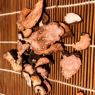 ��Ʒȭ�� �o��ȭ����Ʒ���500�˰��]�υ� �t������؛��؛