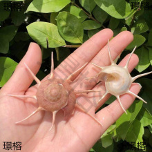 �L�����ݺ���ؐ���˱��������~���쾰��̨�b��Ĕz�[��