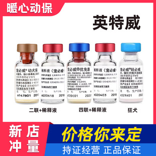 Ӣ�����������Ȯ����СȮ���������⿵�J������Ȯ��朰l؛