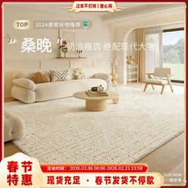 家用地毯;地垫;飘窗垫