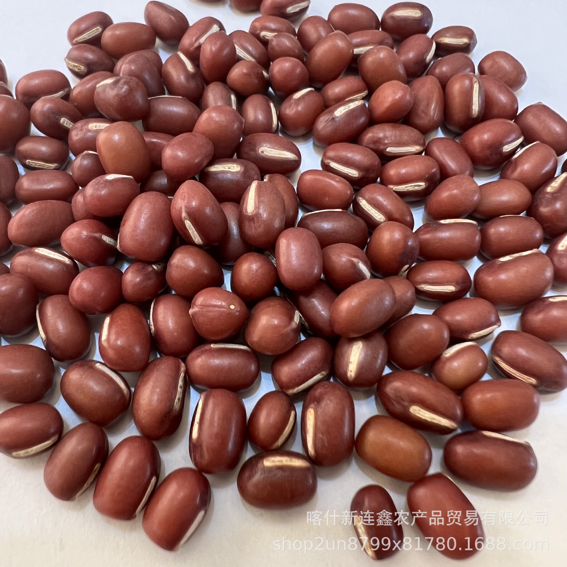 C21D696E9C565E1BF32A076CFAB45D