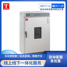 天津泰斯特实验室烘箱WGL-125B电热数显鼓风干燥箱不锈钢材质