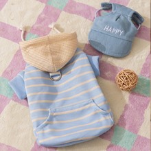 跨境秋冬季狗狗衣服条纹卫衣保暖毛衣马甲中小型猫咪泰迪宠物衣服