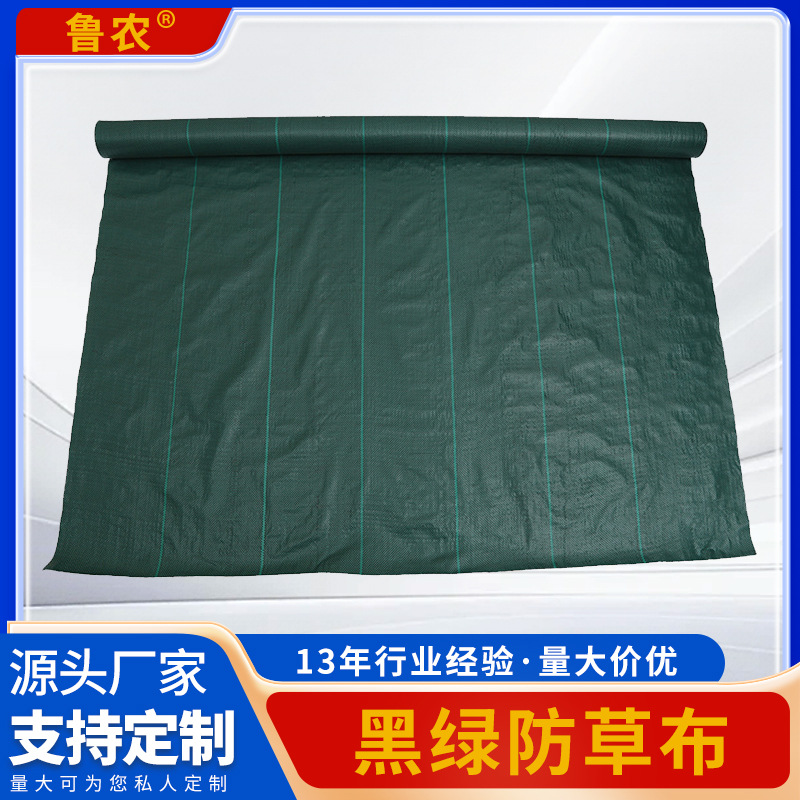 绿色防草布2米100g园艺布大棚透气除草布农业种植透水地布批发