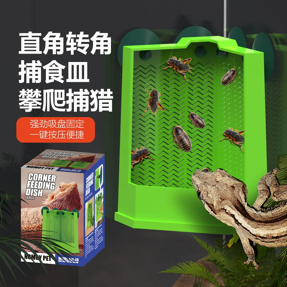 Ящерица-хранитель, грива, хлебный червь, бакланы Dubia, присоски могут быть подвешены для охоты на охоту