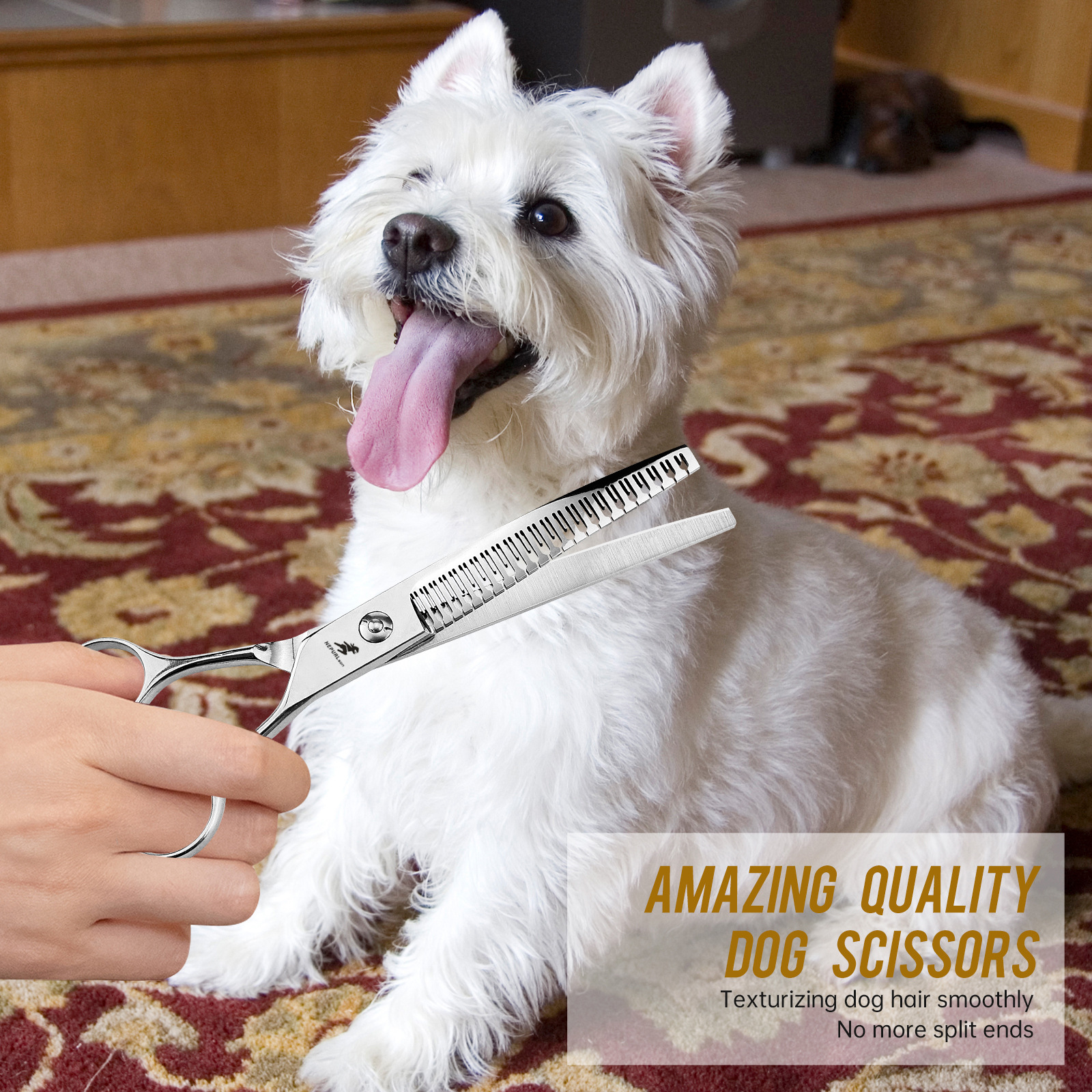 Ciseaux de toilettage professionnels courbés pour animaux_voghion.com