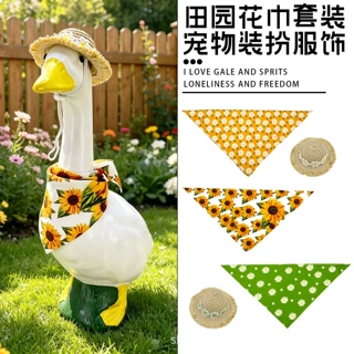 亚马逊田园风门廊鹅宠物狗庭院摆件万圣节服饰套装衣服跨境专供